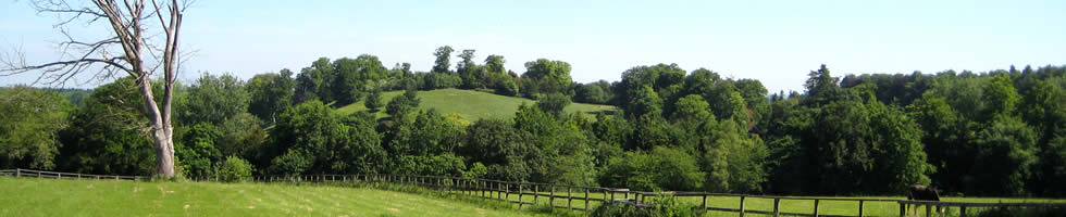 Countryside View